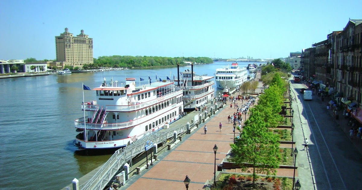 SEYAHATNAME 2000 ABD SAVANNAH