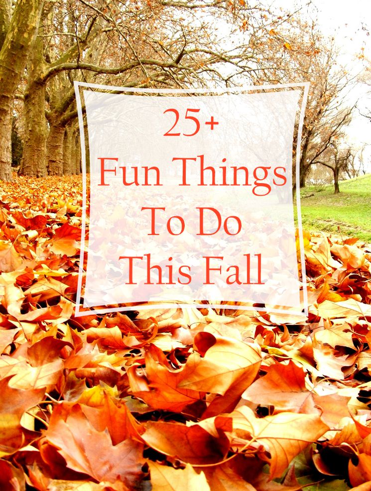 25+ Fun Things To Do This Fall Home Crafts by Ali